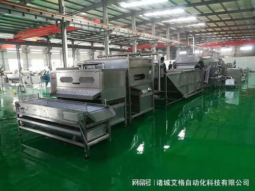 鵪鶉蛋剝殼機廠家實力推薦 從技術革新到服務保障的全維度解析