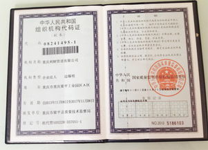 重慶利財(cái)管道正式注冊(cè)成立