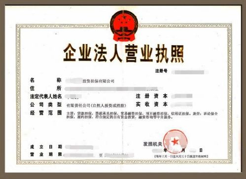 現在還能注冊投資公司嗎